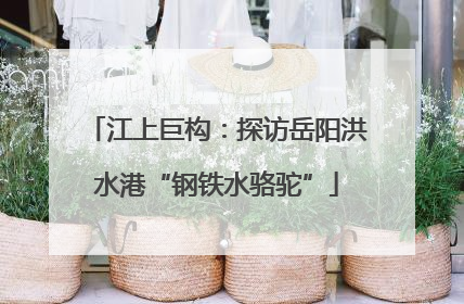 江上巨构：探访岳阳洪水港“钢铁水骆驼”