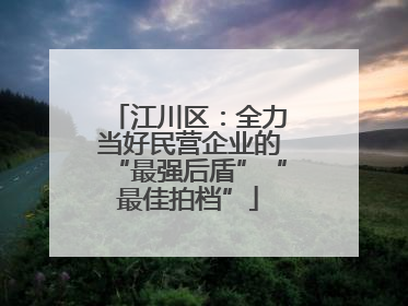 江川区：全力当好民营企业的“最强后盾”“最佳拍档”