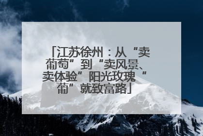 江苏徐州：从“卖葡萄”到“卖风景、卖体验”阳光玫瑰“葡”就致富路