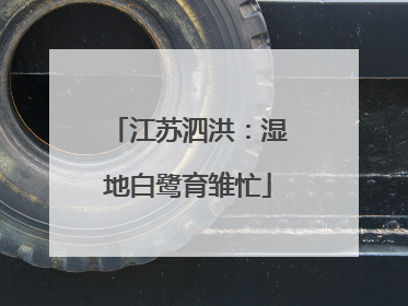 江苏泗洪：湿地白鹭育雏忙
