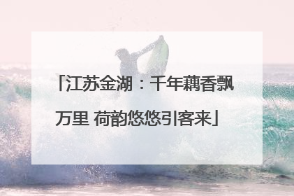 江苏金湖：千年藕香飘万里 荷韵悠悠引客来