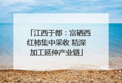 江西于都：富硒西红柿集中采收 精深加工延伸产业链