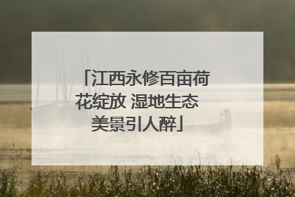 江西永修百亩荷花绽放 湿地生态美景引人醉