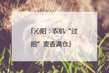 沁阳：农机“过招”麦香满仓