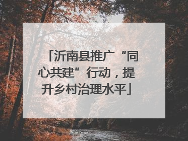 沂南县推广“同心共建”行动，提升乡村治理水平
