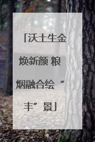 沃土生金焕新颜 粮烟融合绘“丰”景