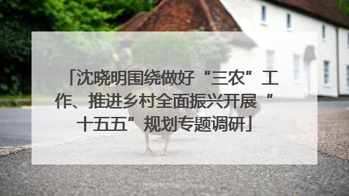 沈晓明围绕做好“三农”工作、推进乡村全面振兴开展“十五五”规划专题调研