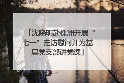 沈晓明赴株洲开展“七一”走访慰问并为基层党支部讲党课