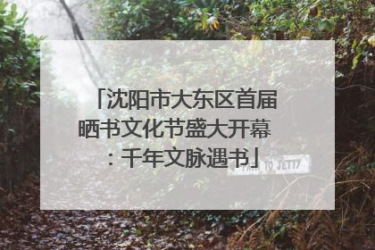 沈阳市大东区首届晒书文化节盛大开幕：千年文脉遇书