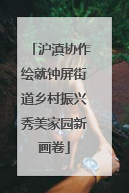 沪滇协作绘就钟屏街道乡村振兴秀美家园新画卷