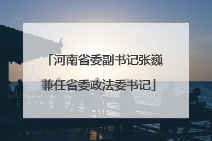 河南省委副书记张巍兼任省委政法委书记