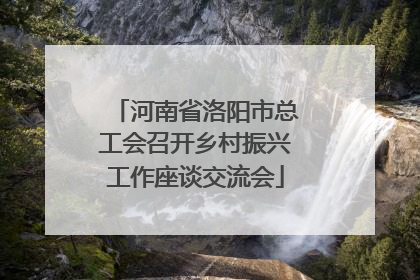 河南省洛阳市总工会召开乡村振兴工作座谈交流会