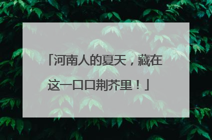 河南人的夏天，藏在这一口口荆芥里！