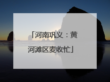 河南巩义：黄河滩区麦收忙