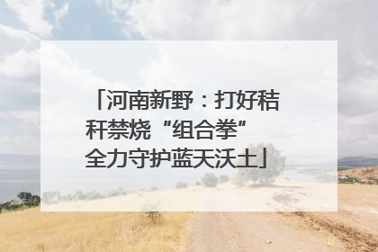 河南新野：打好秸秆禁烧“组合拳” 全力守护蓝天沃土