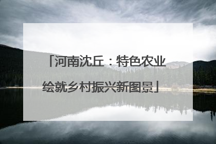 河南沈丘：特色农业绘就乡村振兴新图景