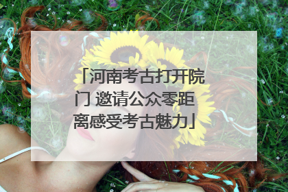 河南考古打开院门 邀请公众零距离感受考古魅力