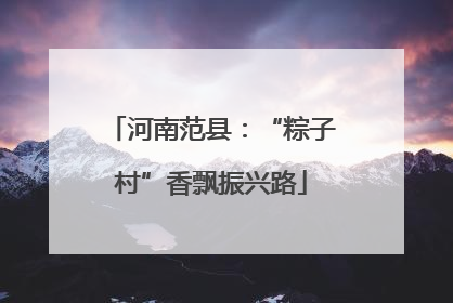 河南范县：“粽子村”香飘振兴路