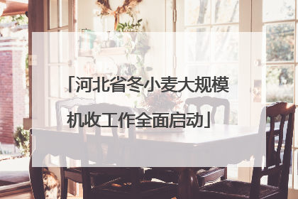河北省冬小麦大规模机收工作全面启动