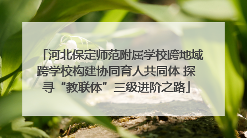 河北保定师范附属学校跨地域跨学校构建协同育人共同体 探寻“教联体”三级进阶之路
