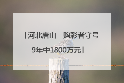 河北唐山一购彩者守号9年中1800万元