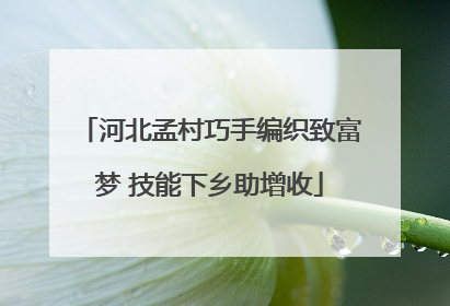 河北孟村巧手编织致富梦 技能下乡助增收