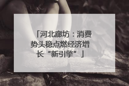河北廊坊：消费势头稳点燃经济增长“新引擎”