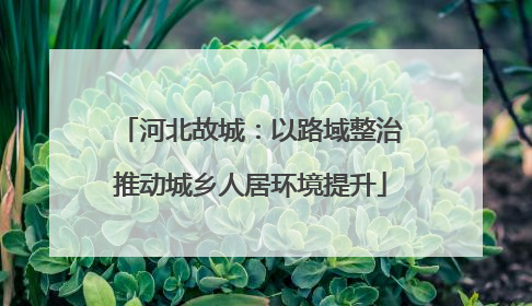 河北故城：以路域整治推动城乡人居环境提升