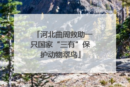 河北曲周救助一只国家“三有”保护动物翠鸟