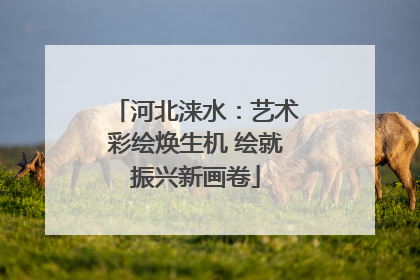 河北涞水：艺术彩绘焕生机 绘就振兴新画卷