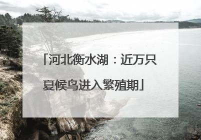 河北衡水湖：近万只夏候鸟进入繁殖期