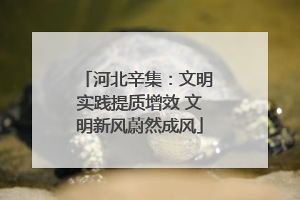 河北辛集：文明实践提质增效 文明新风蔚然成风
