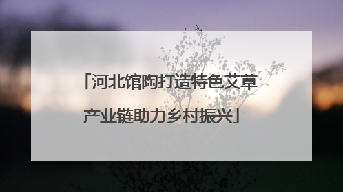 河北馆陶打造特色艾草产业链助力乡村振兴