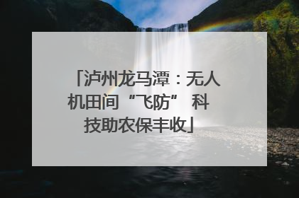 泸州龙马潭：无人机田间“飞防” 科技助农保丰收