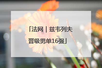 法网｜兹韦列夫晋级男单16强