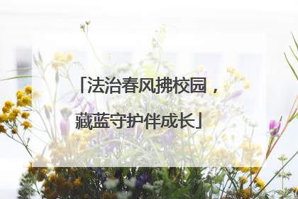 法治春风拂校园，藏蓝守护伴成长