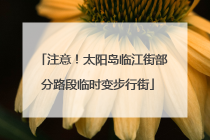 注意！太阳岛临江街部分路段临时变步行街