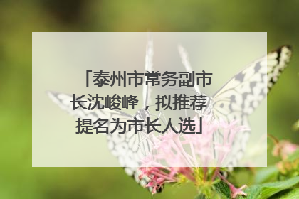 泰州市常务副市长沈峻峰，拟推荐提名为市长人选