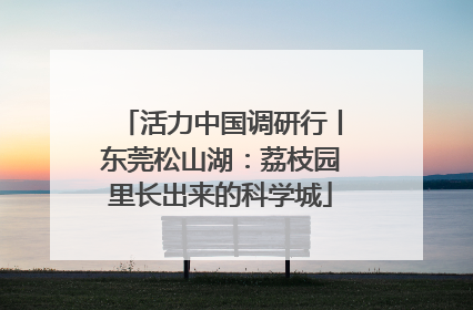 活力中国调研行丨东莞松山湖：荔枝园里长出来的科学城
