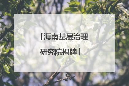 海南基层治理研究院揭牌