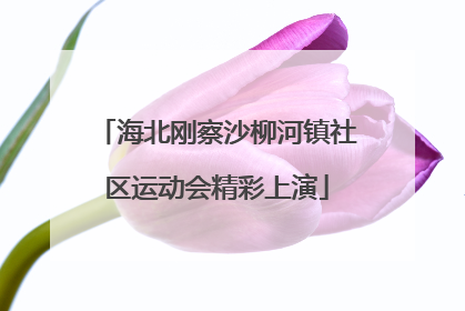 海北刚察沙柳河镇社区运动会精彩上演