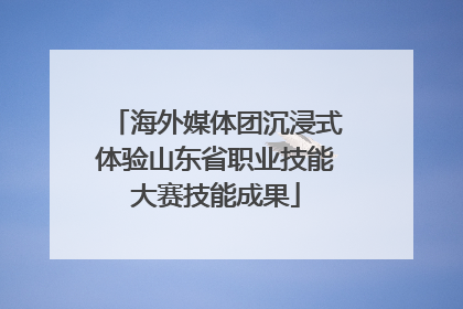 海外媒体团沉浸式体验山东省职业技能大赛技能成果