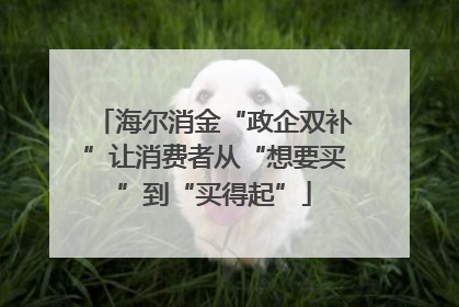 海尔消金“政企双补”让消费者从“想要买”到“买得起”