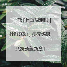 海洋月每周潮讯｜社群联动，多元场景共绘蔚蓝新章