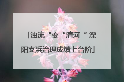 浊流“变“清河“ 溧阳支浜治理成绩上台阶