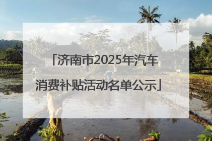 济南市2025年汽车消费补贴活动名单公示