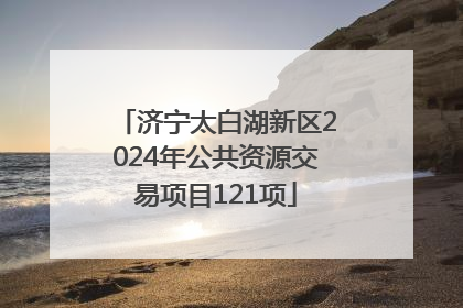 济宁太白湖新区2024年公共资源交易项目121项