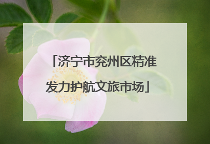 济宁市兖州区精准发力护航文旅市场