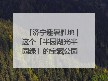 济宁避暑胜地｜这个「半园湖光半园绿」的宝藏公园藏不住了！