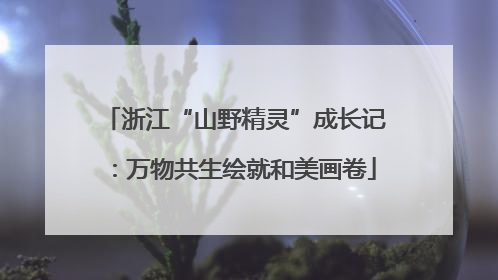 浙江“山野精灵”成长记：万物共生绘就和美画卷